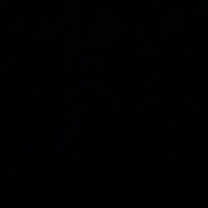 Meet your Posher, Blake